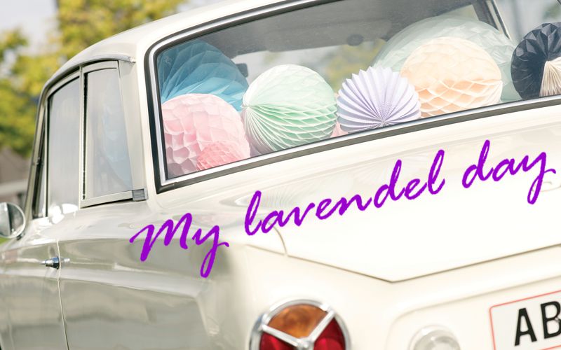 My lavenel Day